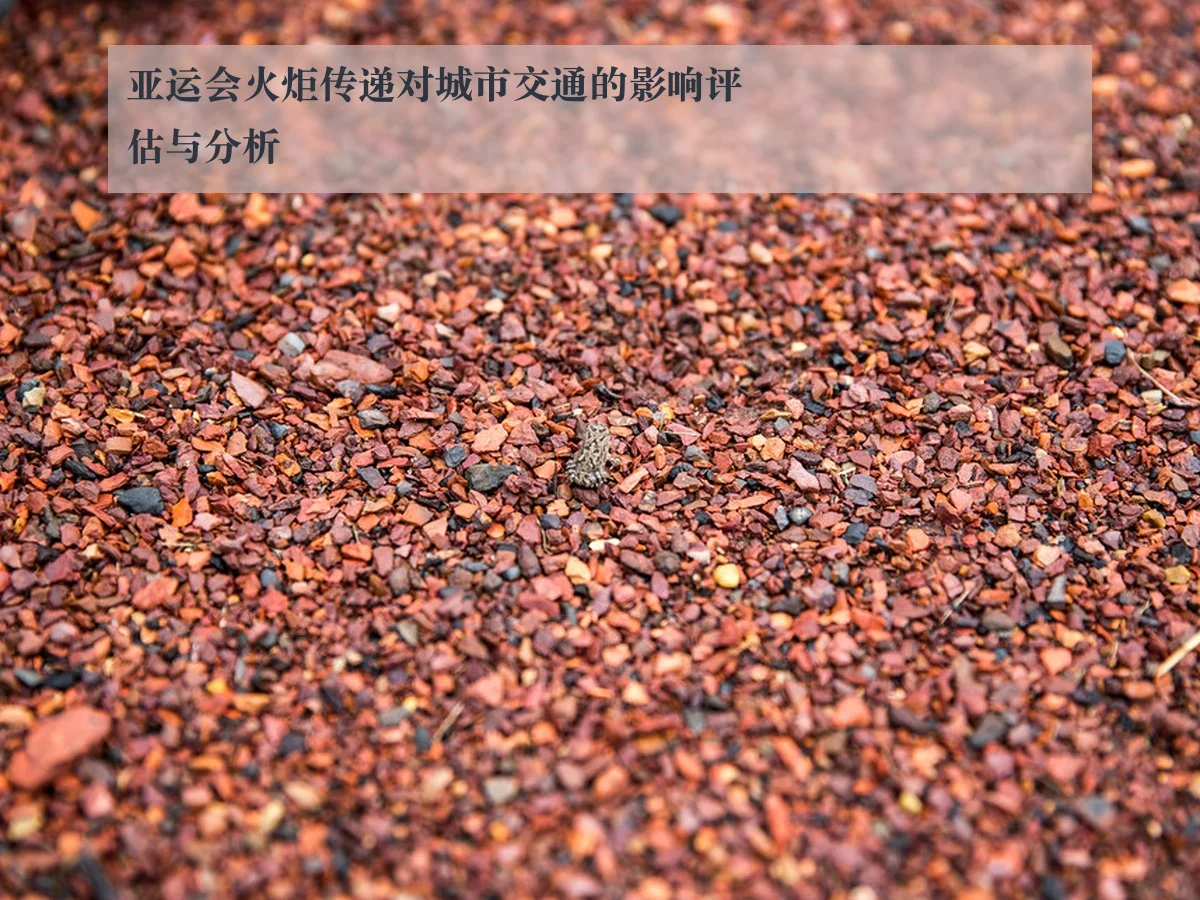 亚运会火炬传递对城市交通的影响评估与分析